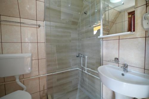a bathroom with a sink and a toilet and a shower at Durmitor Bungalows in Žabljak