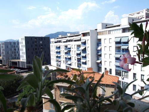 Apartment Viola