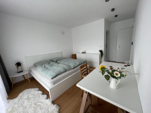 Ubytování uprostřed zeleně