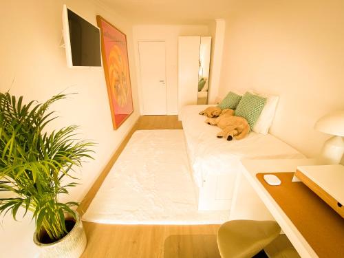a dog laying on a couch in a room at Ideally located with perfect views in Algés