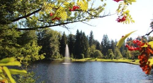 a lake with a fountain in the middle of it at Lichtdurchflutete grosse Wohnung in Isny im Allgäu
