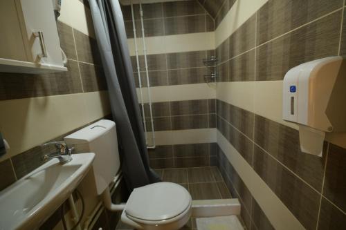 a small bathroom with a toilet and a sink at Durmitor Bungalows in Žabljak