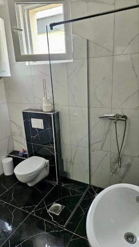 a bathroom with a toilet and a shower and a sink at Spring 1 in Petrovaradin