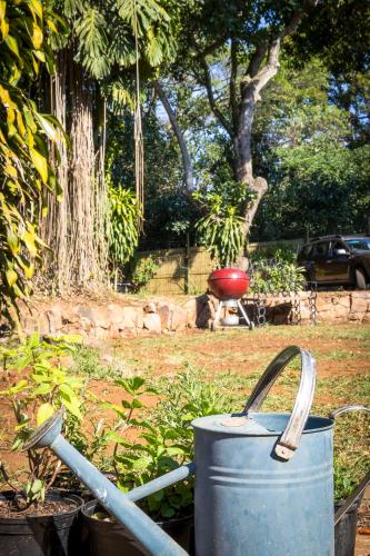 a watering can and a bucket in a garden at Valhalla on Knelsby in Hillcrest