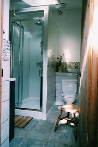 a bathroom with a toilet and a glass shower at Nyland View The Paddocks Glamping in Draycott