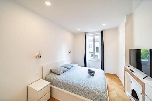 une chambre avec un lit et une télévision à écran plat dans l'établissement T2 Spacieux : Wi-Fi cuisine équipée profamille, à Villeurbanne