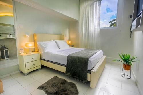 Estudio 2 Conde 504 at Historic Main Street