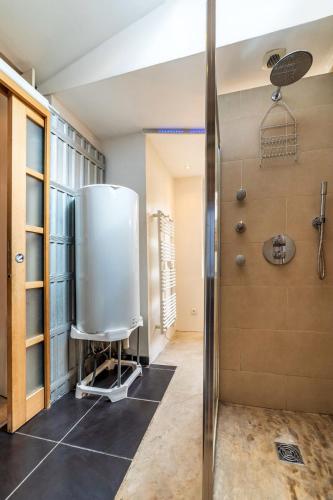 une salle de bain avec douche et toilettes dans l'établissement Montmorency Garden Billiards near Paris, à Enghien-les-Bains