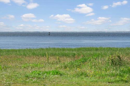 a bird flying over a body of water at 1171-Ringkobing-Jagtvej-34-C-lejl-2 in Ringkøbing