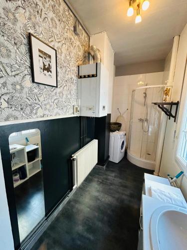 une salle de bain avec un lavabo, une douche et des toilettes dans l'établissement Le Prestigieux Ruinart - Centre-Ville, à Reims