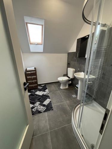 a bathroom with a shower and a toilet and a sink at La Conac Sibiu in Sibiu