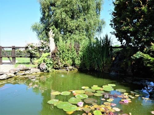 a pond with lily pads in a garden at 1 bed in Bradford-on-Avon 58771 in Erlestoke