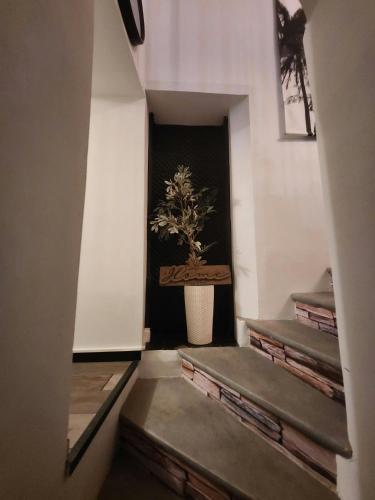 Le Celeste Maison de Village avec toit terrasse