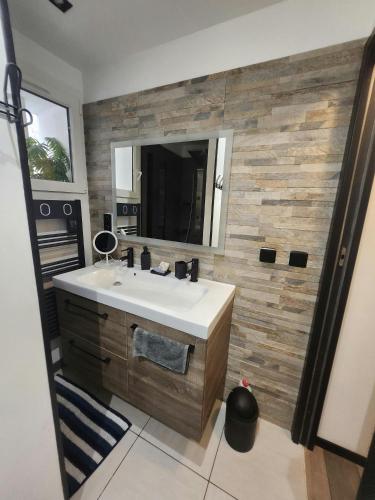 une salle de bain avec un lavabo et un miroir dans l'établissement Le Celeste Maison de Village avec toit terrasse, à Gréoux-les-Bains