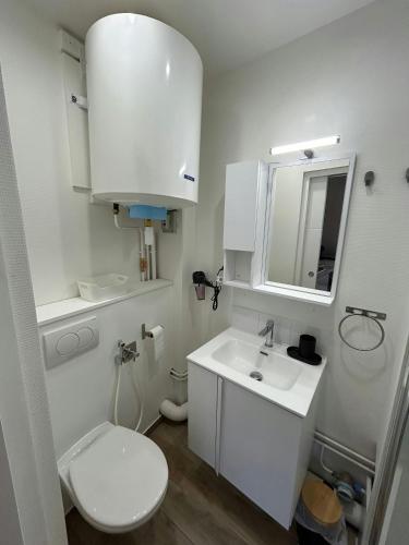 une salle de bain blanche avec des toilettes et un lavabo dans l'établissement La Suite Marie Stuart Hypercentre, à Reims