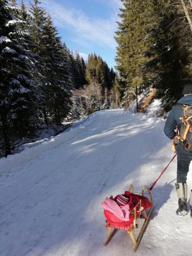 a person pulling a sled in the snow at Andrea 1 by SMR Rauris Apartments inc SPA and near Gondola in Rauris