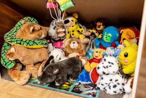 a bunch of stuffed animals in a box at La Maison l Expérience - Cinéma Spa Proche Paris in Maisons-Alfort