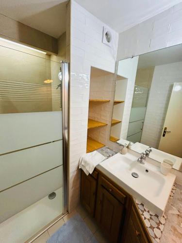 une salle de bain avec un lavabo et une douche dans l'établissement La Maison aux Oiseaux Calme, à Reims