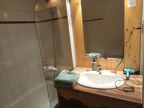 une salle de bain avec un lavabo et une douche dans l'établissement Expérience Montagne Chamrousse Balcon Parking, à Chamrousse