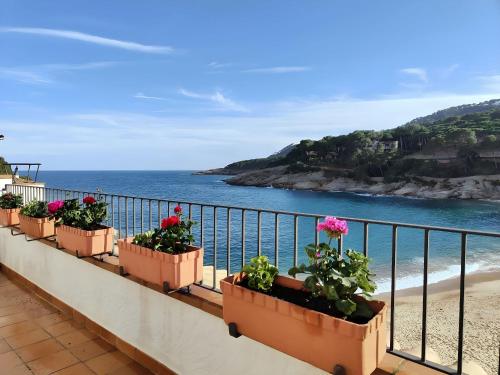 a row of potted plants on a balcony overlooking the ocean at Tamariu Platja · Penthouse on Passeig del Mar. in Tamariu