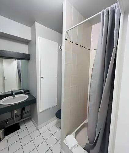 une salle de bain avec un lavabo et une douche dans l'établissement La Suite Buirette Hypercentre, à Reims