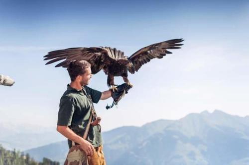 a man is holding an eagle on his arm at Johanna 3 by SMR Rauris Apartments - inc Spa and near Gondola in Rauris