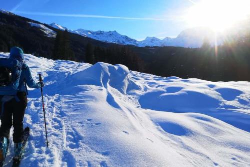 a person on skis standing on a snow covered mountain at Christina 1 by SMR Rauris Apartments - inc Spa and near Gondola in Rauris