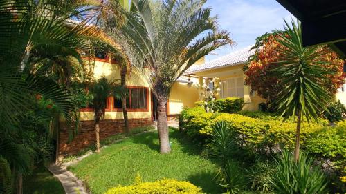a house with a palm tree in the yard at 3 Palmeiras Guest Lounge in Miguel Pereira