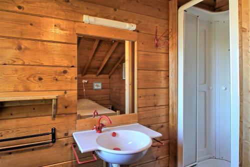 a bathroom with a sink and a mirror at CASA Les Heureux Magnifique CHALET 6 chambres à RISOUL in Risoul