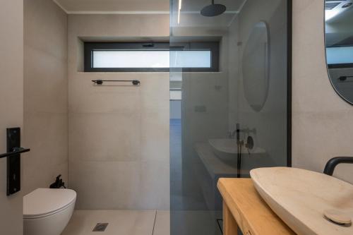 Un baño con ducha, inodoro y lavabo. en Villa Zen, en Alikianós