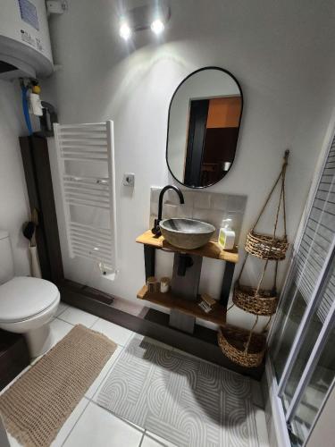 une salle de bain avec un lavabo et un miroir dans l'établissement LeCosy - Studio 2 Personnes, à Gréoux-les-Bains