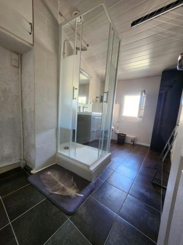 une douche en verre dans une salle de bain avec un lavabo dans l'établissement Maison de village provençale, à Allemagne-en-Provence