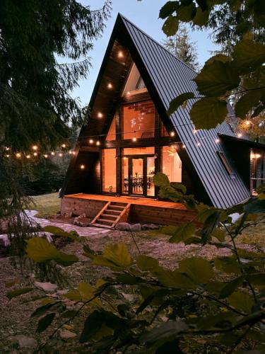 a small house with a metal roof at Black Raven Cabin in Topliţa