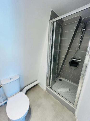 une salle de bain avec toilettes et douche en verre dans l'établissement We Live In R - Duplex 504, à Reims