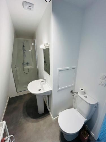 une salle de bain avec toilettes et lavabo dans l'établissement We Live In R - Duplex 503, à Reims