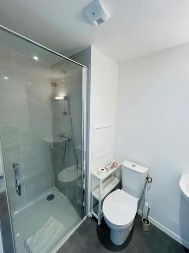 une salle de bain avec toilettes et douche dans l'établissement We Live In R - Suite 201, à Reims