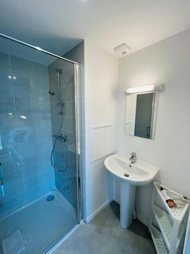 une salle de bain avec une douche en verre et un lavabo dans l'établissement We Live In R - Suite 302, à Reims
