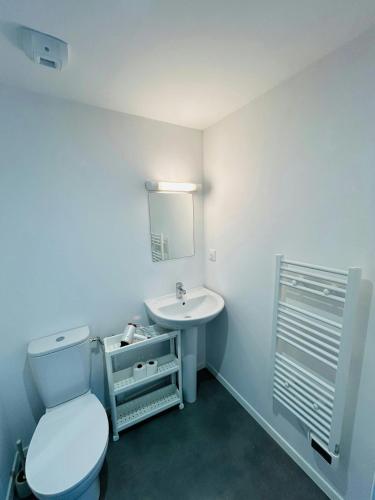 une salle de bain avec toilettes et lavabo dans l'établissement We Live In R - Suite 301, à Reims