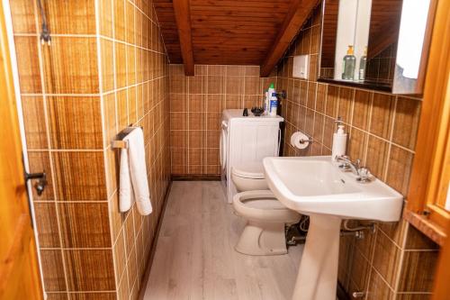 a small bathroom with a toilet and a sink at Mansarda di Gallio - Mountain Escape in Gallio