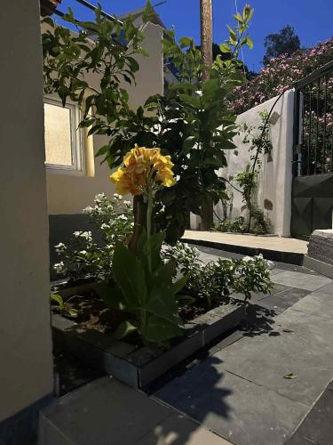 Κήπος έξω από το BAZAKOS LUXURY STUDIO KAMPI BEACh