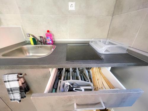 a kitchen counter with a sink next to a sink at Atlas-Apartment in Magdeburg