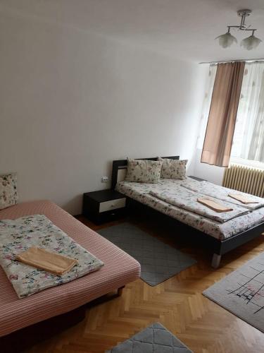 a living room with two beds and a window at Casă de oaspeți ORSO in Sovata