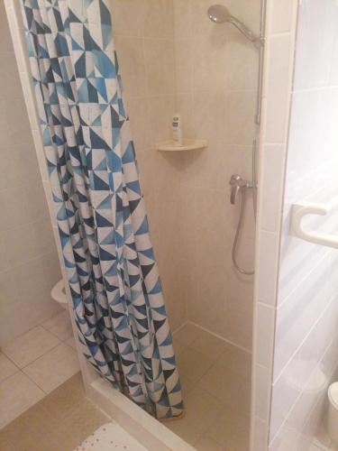 une salle de bain avec une douche avec un rideau de douche dans l'établissement Le Clos des roses, à Civray-de-Touraine