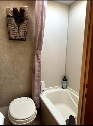 a bathroom with a toilet and a bath tub at Gilligan's Island Fishing Jetski Shipwreck Oasis in Bullhead City