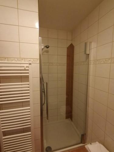 a shower with a glass door in a bathroom at Hotel & Restaurant Zum Schwanen in Neuried