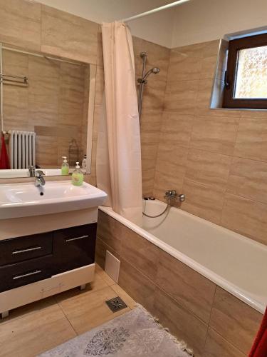 a bathroom with a sink and a tub and a shower at Casă de oaspeți ORSO in Sovata