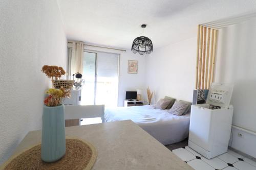 Studio Port du Cap d'Agde