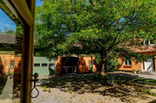 a large tree in front of a house at Akaciegaarden Bed & Breakfast in Hårlev