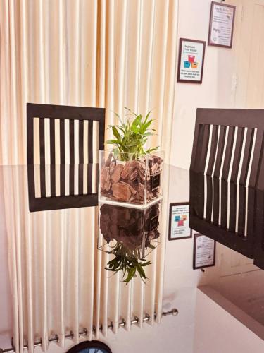 a plant on a table next to a curtain at 3BHK Kamla Luxury Villa, Edappally, Near Lulu & Amrita in Ernakulam
