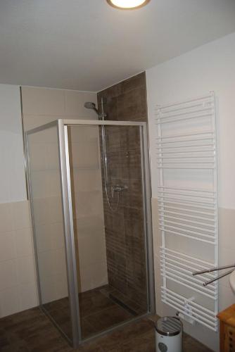 a shower with a glass door in a bathroom at Haus Adria in Schleswig